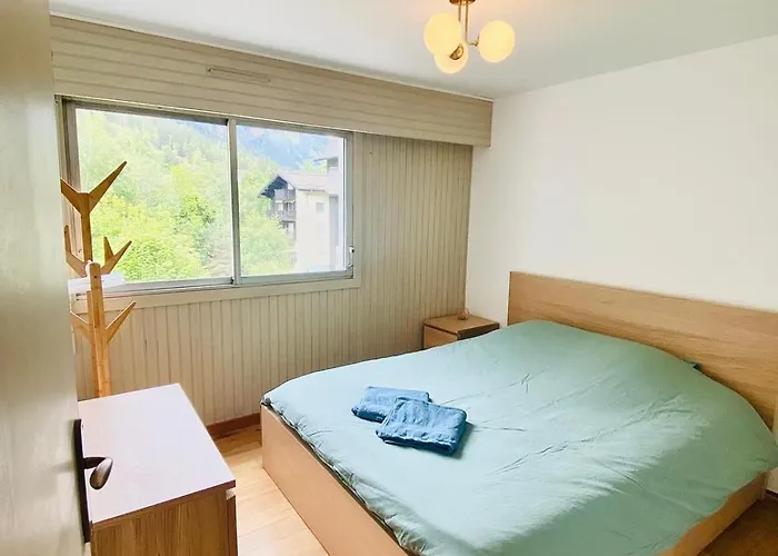 Pied Des Pistes/hyper Centre/balcon/parking Chamonix